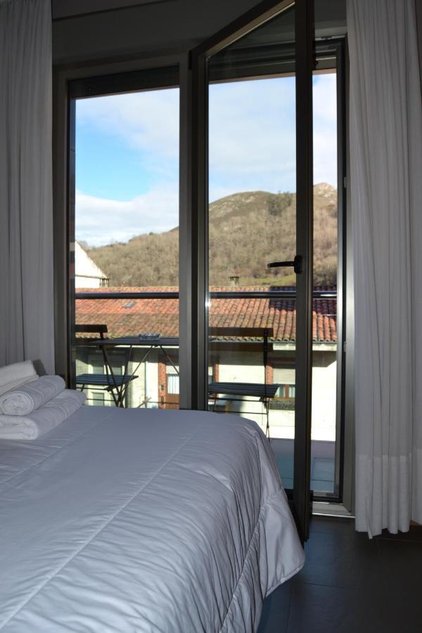 Apartamentos Spa Cueto Cangas de Onis Bagian luar foto